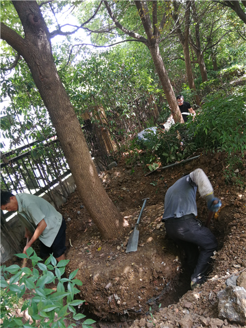 6008集团官方网站(中国)股份有限公司